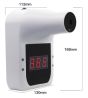 Digital Infrared Wall Thermometer GP100